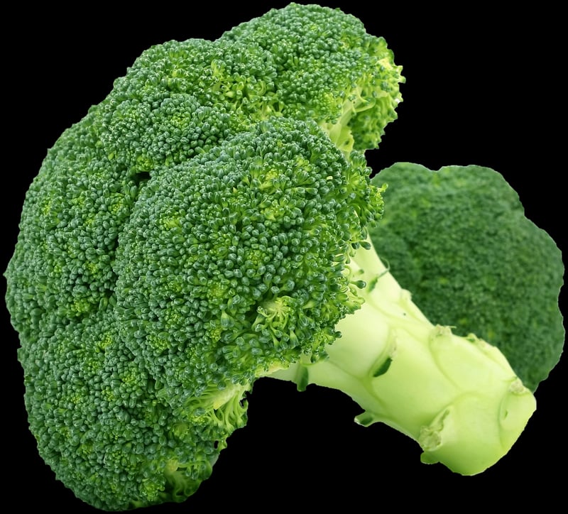 Balanced Meal